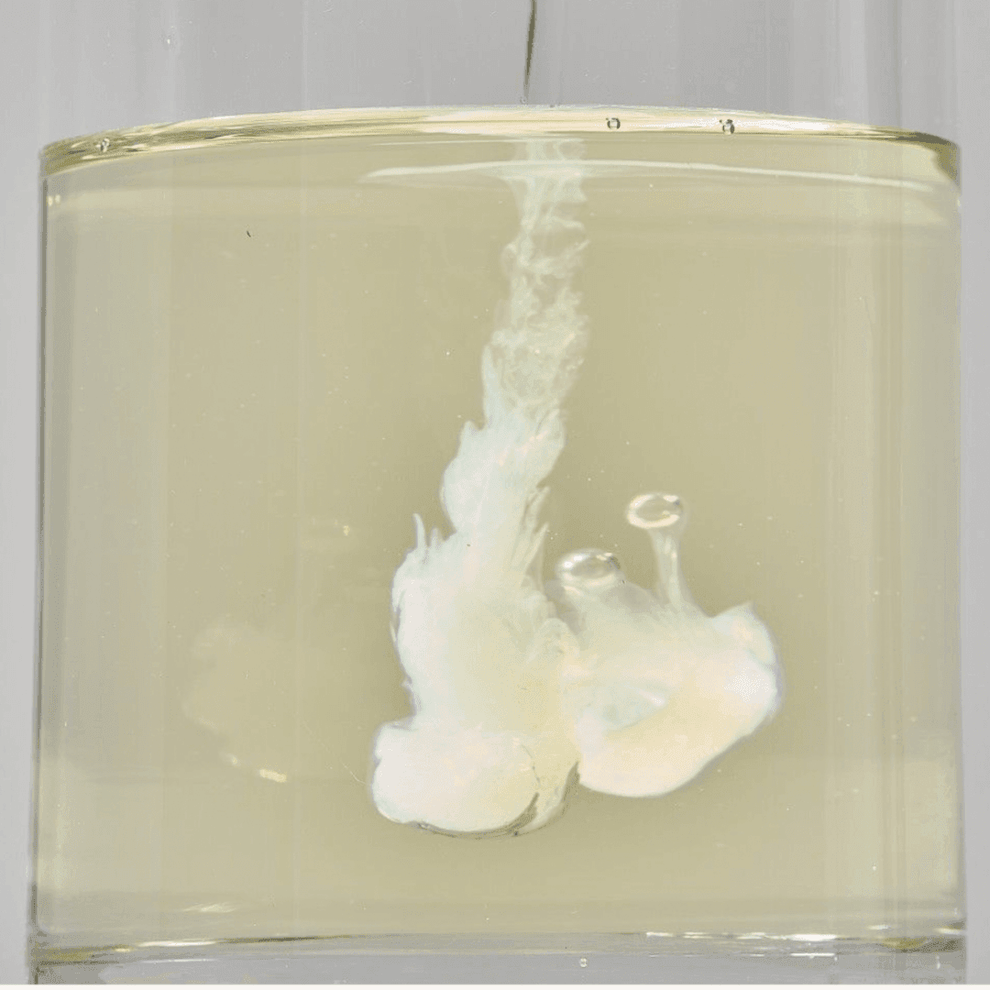 ROUND LAB - Soybean Cleansing Oil
