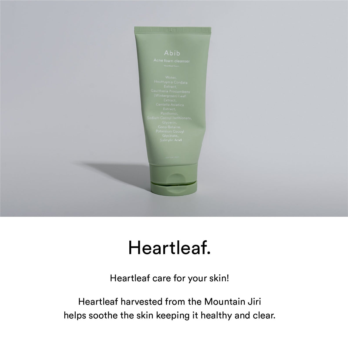 Abib Acne Foam Cleanser Heartleaf Foam