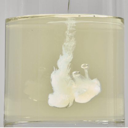 ROUND LAB - Soybean Cleansing Oil
